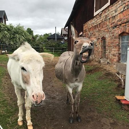 Stuga Asnagard Torsby Exteriör bild
