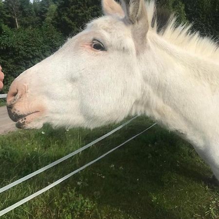 Stuga Asnagard Torsby Exteriör bild