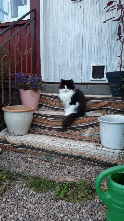Stuga Asnagard Torsby Exteriör bild