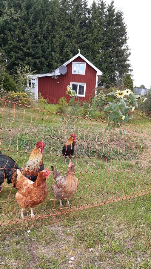 Stuga Asnagard Torsby Exteriör bild