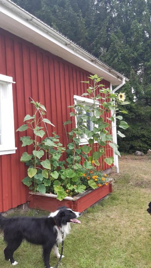 Stuga Asnagard Torsby Exteriör bild